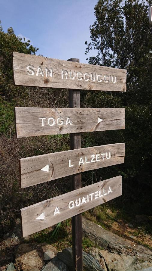 A Tana Di A Volpe Apartment Ville-di-Pietrabugno Luaran gambar